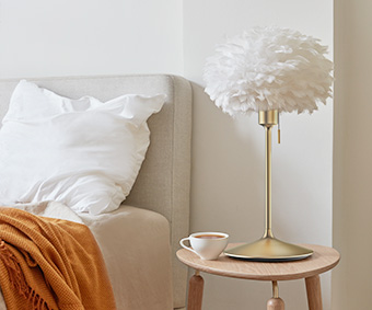 Miegamojo šviestuvai Miegamojo šviestuvai